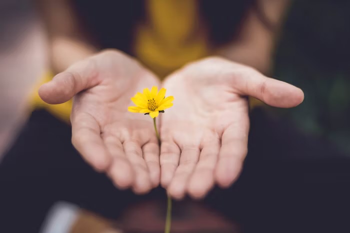 Chronic Pain, Stress & the Protective Parts Within Us